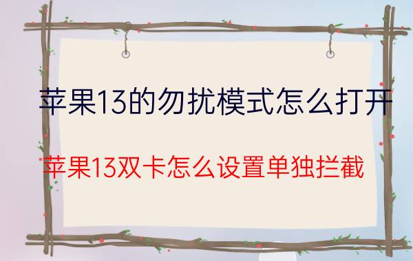 苹果13的勿扰模式怎么打开 苹果13双卡怎么设置单独拦截？